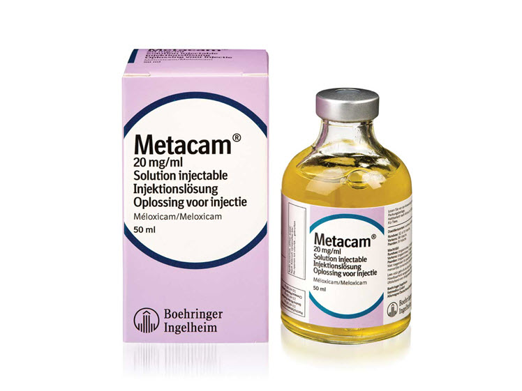 Metacam® 20 